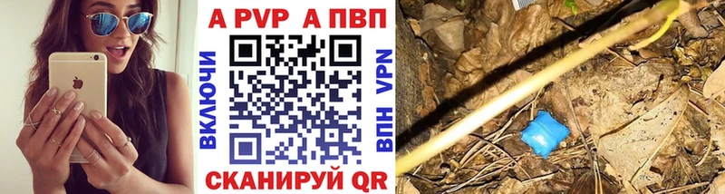 A PVP крисы CK Луга