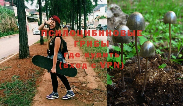 MESCALINE Аркадак