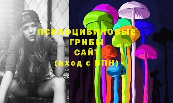 марки nbome Каменногорск