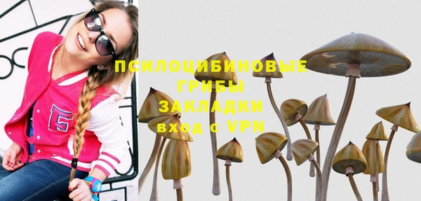 а пвп мука Арсеньев