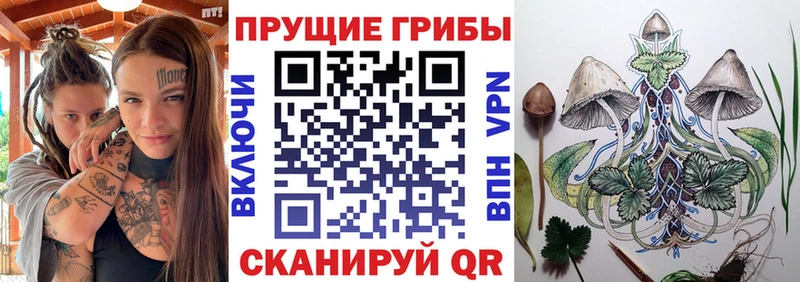 Псилоцибиновые грибы MAGIC MUSHROOMS  дарнет шоп  Луга 