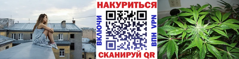 купить  сайты  Луга  Каннабис марихуана 